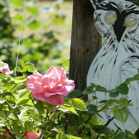 Le Jardin De Marie-Jeanne Bed and Breakfast Achy Exteriör bild