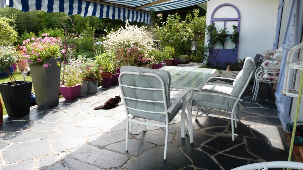 Le Jardin De Marie-Jeanne Bed and Breakfast Achy Exteriör bild