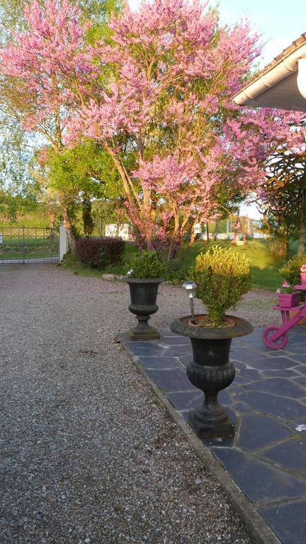 Le Jardin De Marie-Jeanne Bed and Breakfast Achy Exteriör bild